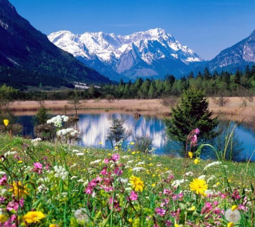 Jardim-Flores.jpg